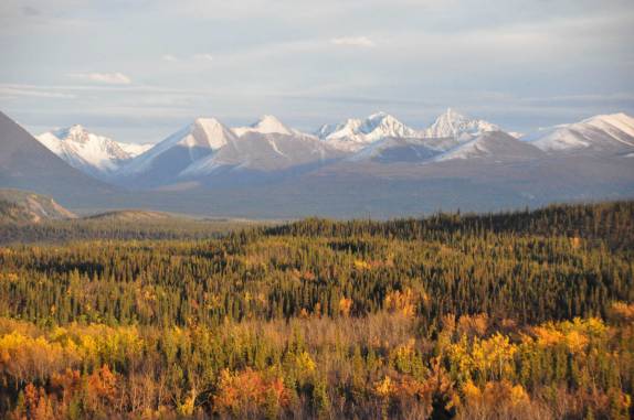 A bela paisagem do Denali National Park, no Alaska